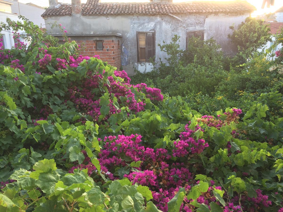Parmis Rooms Cesme Exterior photo